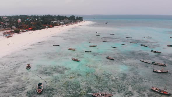 Lot Fishing Boats Stuck in Sand Off Coast at Low Tide Zanzibar Aerial View