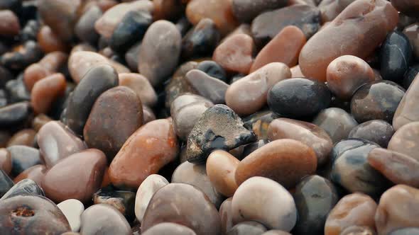 Pretty Colorful Wet Stones On The Beach