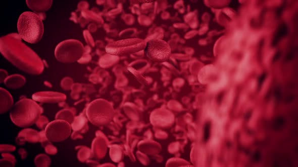 Blood Cells Under A Large Increase Move Along The Artery Or Vein