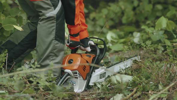 Woman Logger in the Forest Female Specialist in Protective Gear Start a Chainsaw Hard Works on