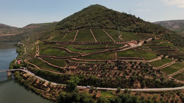 Vineyard Fields Near Pinhao Town Portugal