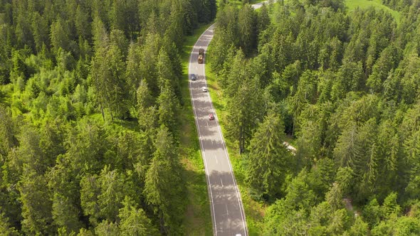 Aerial View Flying Over Two Lane Forest Road with Car Moving Green Trees of Woods Growing Both Sides