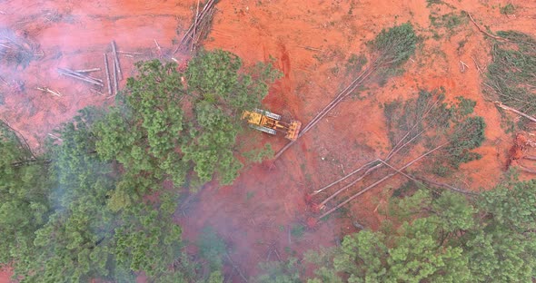 Dozer During Deforest Forest Cleaning and Preparing the Land for Construction