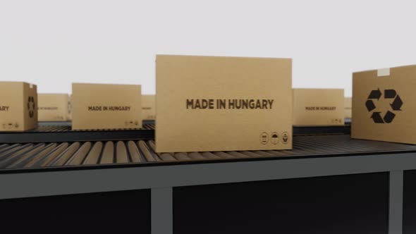 Boxes with MADE IN Hungary Text on Conveyor