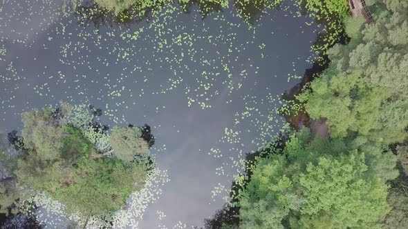 Spinning bird's eye view of a woodland pond, 4k Aerial