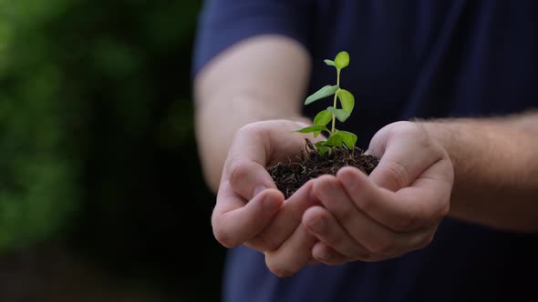 Holding Green Plant in Hands 82