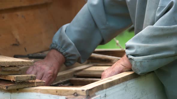 Hands of Beekeeper Keep Frame From the Hive