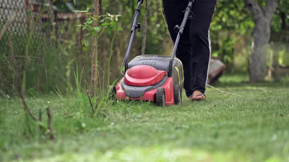 Gardener cutting lawn grass. Home garden grass cutting with lawn mower