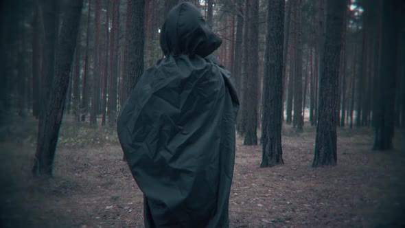 Terrible dark figure walk in the forest. Scene for Halloween