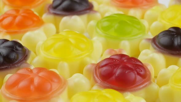 turtle shaped Tasty jelly candies