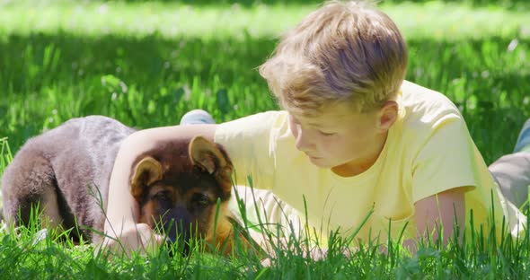 Owner with Puppy Playing at Summer Park