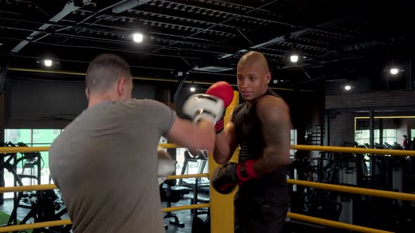 Two Male Boxers Sparring in Boxing Ring at the Gym