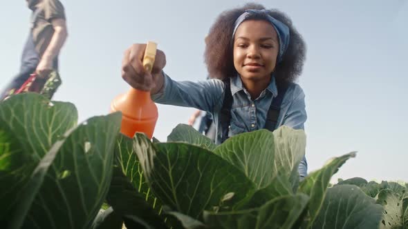 Young African Farmer Working