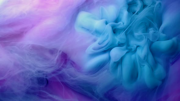 Vivid Colorful Purple Blue Pink of Acrylic Paint Drop Motion Texture Background for Abstract Concept