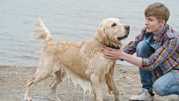 Boy Stroking Happy Labrador Dog after Swimming