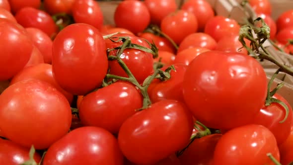 Tomato Harvest on the Stall of the Vegetable Market