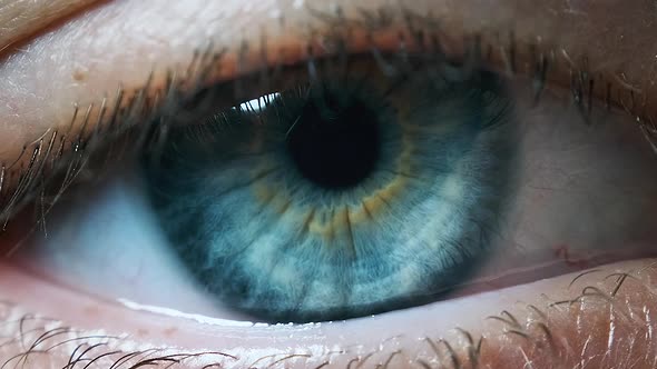 Beautiful Blue Woman Eye, Extreme Close-up. Sight. Detail View Young Girl's Eye