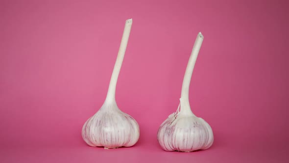 Garlic spinning on pink background