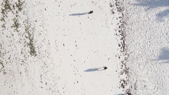 Vertical Video People Play Football on the Beach in Zanzibar Tanzania Aerial View