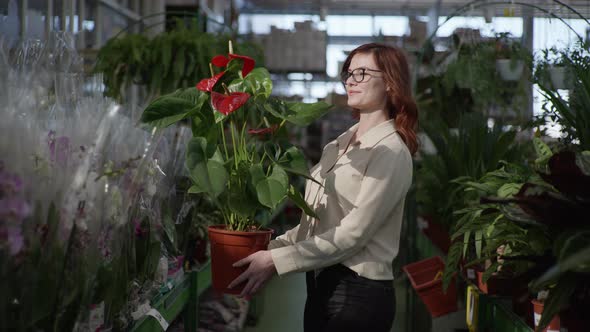 Portrait of Cute Young Woman Who Is Choosing Flowering Plant in Department of Houseplants in