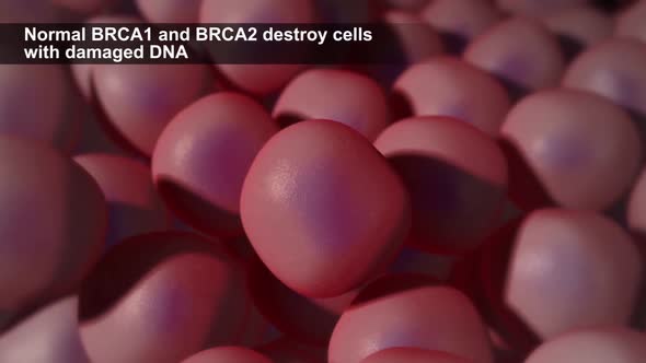 Defects due to DNA damage lead to tumor and cancer formation and death of healthy cells.