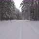 Snow Ski Trail In Winter Forest - VideoHive Item for Sale