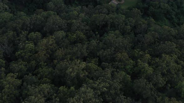 Flying over a thickly wooded forest looking down on a small property tucked in the jungle