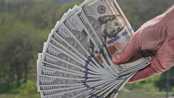 Male Hand Show New Dollar Bills Like a Fan on Backdrop of Green Nature