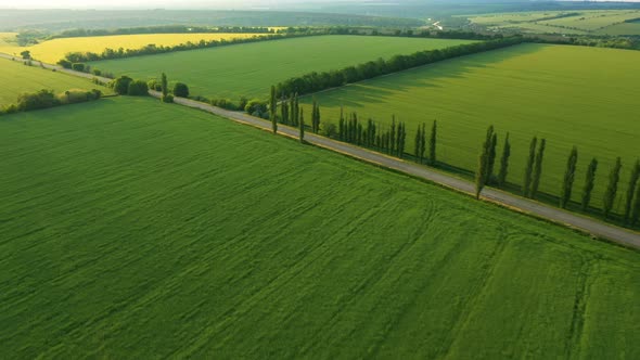 Aerial View Of Green Fields