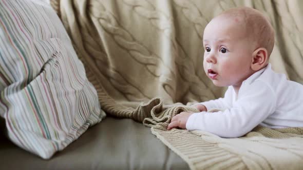 Baby Boy on Sofa at Home