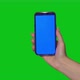 Person Woman Holding Smartphone on Green Chroma Key Background - VideoHive Item for Sale