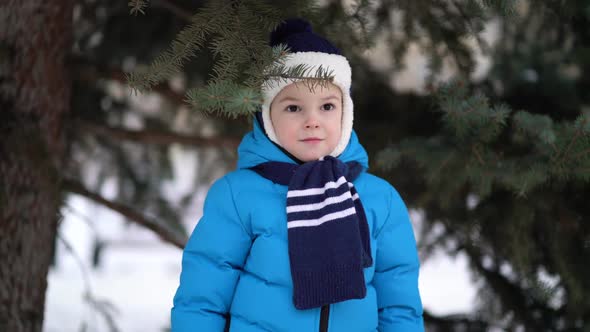 Cute Four Years Old Boy Portrait on Winter Forest