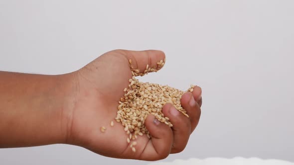 Footage of opening hand filled with sesame seeds