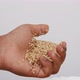 Footage of opening hand filled with sesame seeds - VideoHive Item for Sale