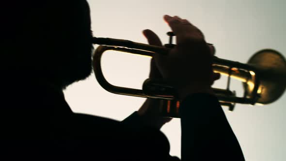 Jazzman Plays Trumpet in Dark Smoky Room in Spotlight Back View