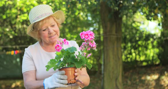 Senior woman examining pot plant in garden