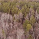 Aerial Shot of Autumn Forest in Siberian Natural Park Stolby - VideoHive Item for Sale
