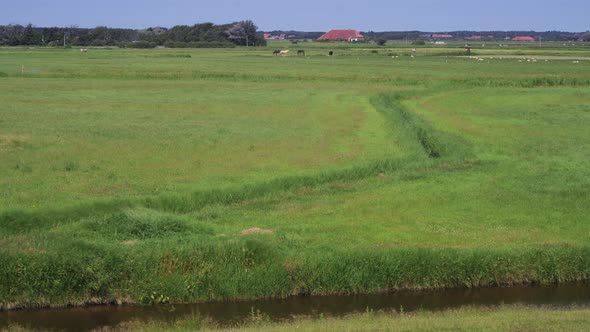 Dutch sea dike drainage ditch channel Wadden Sea protects low farmland timelapse