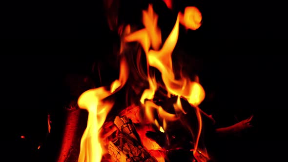 Burning wood in the fire, a fire at night in the camp, Flames close up, hot coals of burned wood