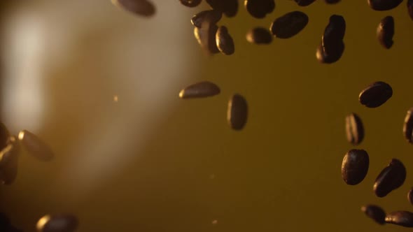 Freshly Roasted Coffee Beans Tossed Up in Slow Motion