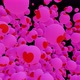 Romantic and love hearts are drawn on the animated balls that fill the screen Isolated by the Alpha - VideoHive Item for Sale