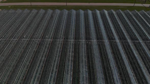 Camera Fly Over the Greenhouses. Aerial Shot. Geometry in Industrial Production. Perfectionism in