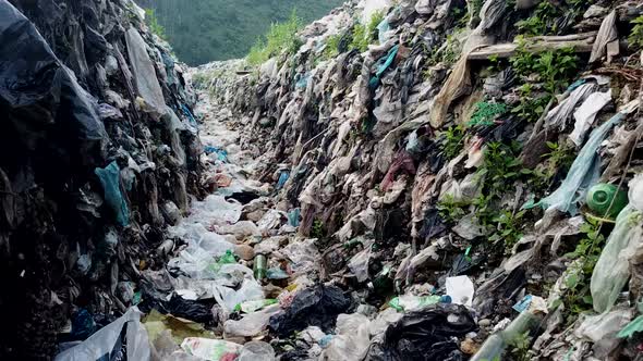 Garbage in the canals after the flood. Contaminated rivers with plastic waste.