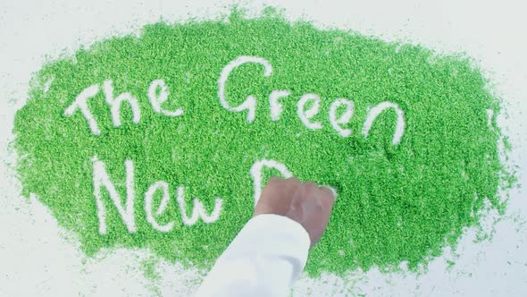 Green Writing   The Green New Deal 