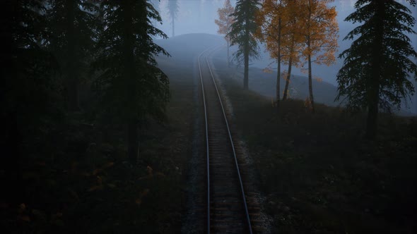 National Forest Recreation Area and the Fog with Railway alt