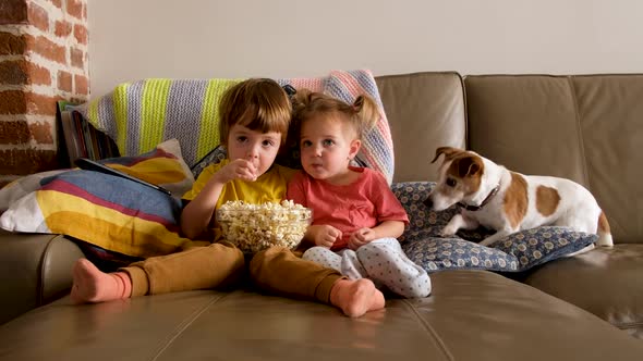 Siblings Eating Popcorn and Watching Cartoon Near Dog