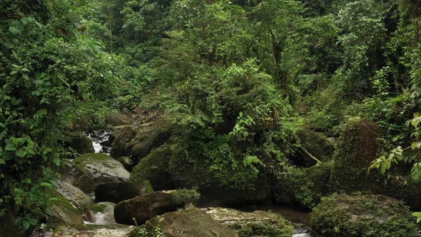 Aerial view of a tropical stream with large boulders and lush green vegetation