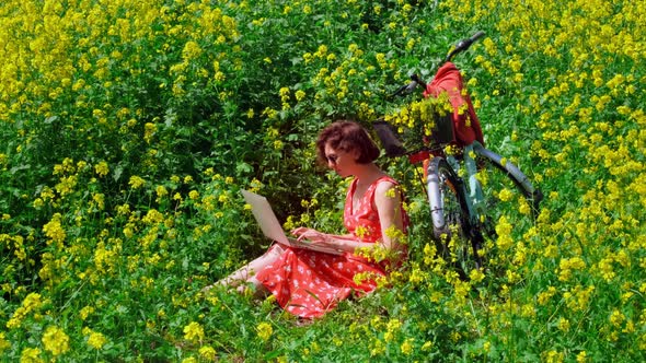 Freelancer Girl Works Behind a Laptop in a Flower and Sunny Field