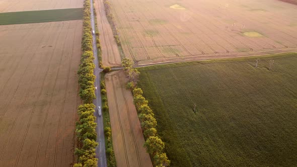 Drone Flying Over Road Between Wheat Fields During Dawn Sunset