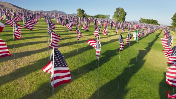 A Vast Display of American and International Flags Installed in Picturesque Park